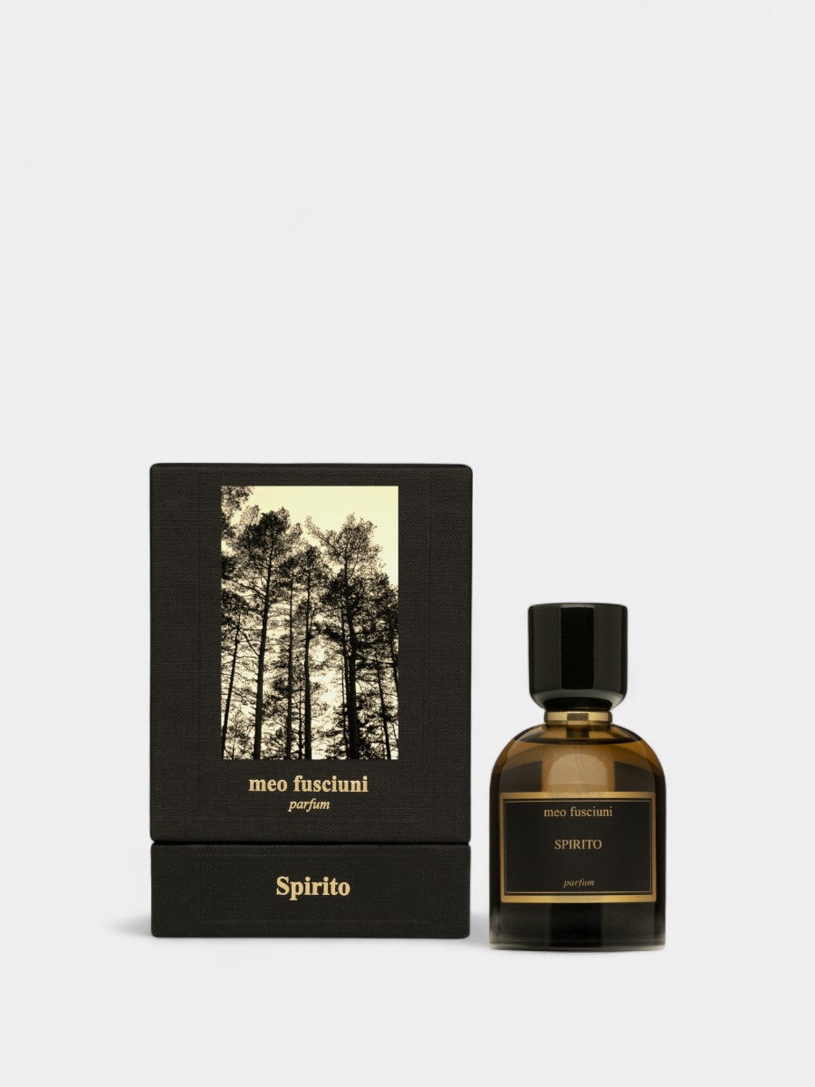 MEO FUSCIUNI SPIRITO EAU DE PARFUM 100ML MF19419  BALU.CH