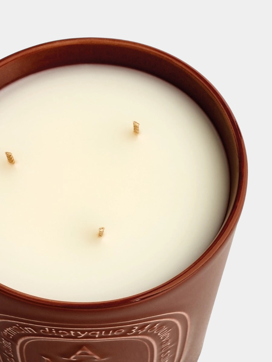 balu.ch Diptyque Diptyque Candela Ambre 600gr