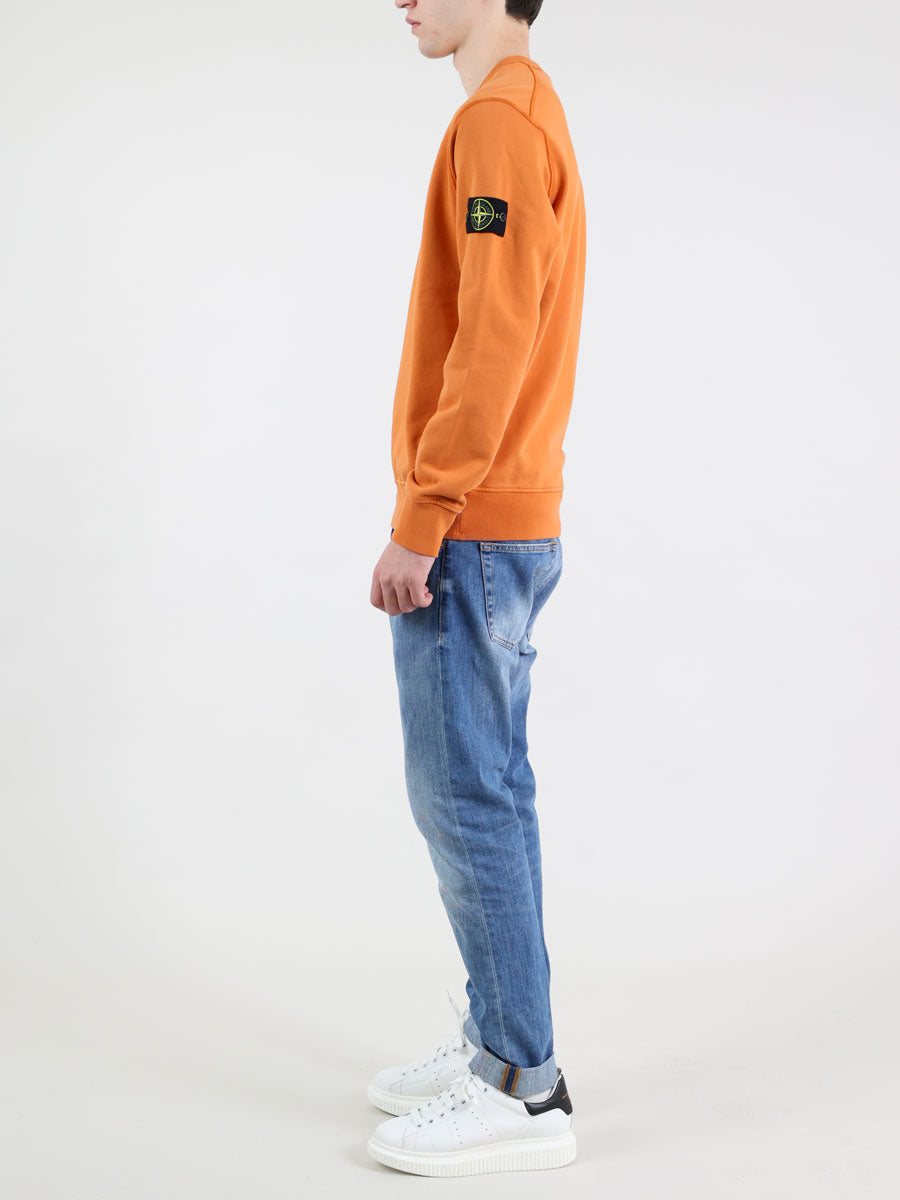 balu.ch Stone Island Felpa 101563051 - V0073