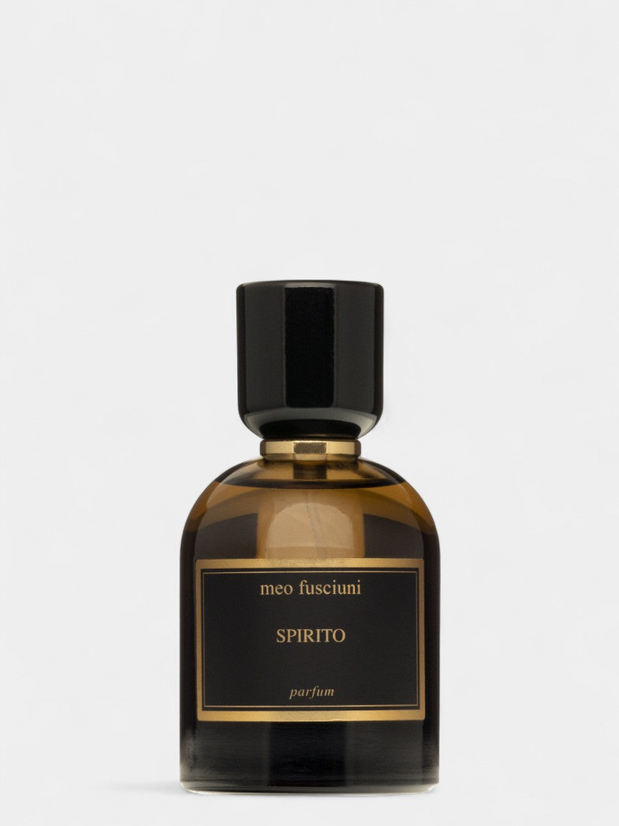 MEO FUSCIUNI SPIRITO EAU DE PARFUM 100ML MF19419  BALU.CH