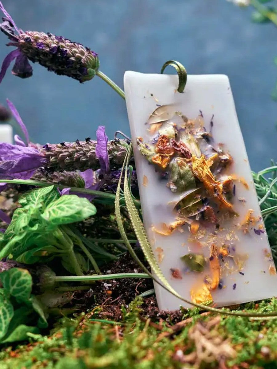 SANTA MARIA NOVELLA TAVOLETTE DI CERA PROFUMATE POT POURRI 3466400  BALU.CH